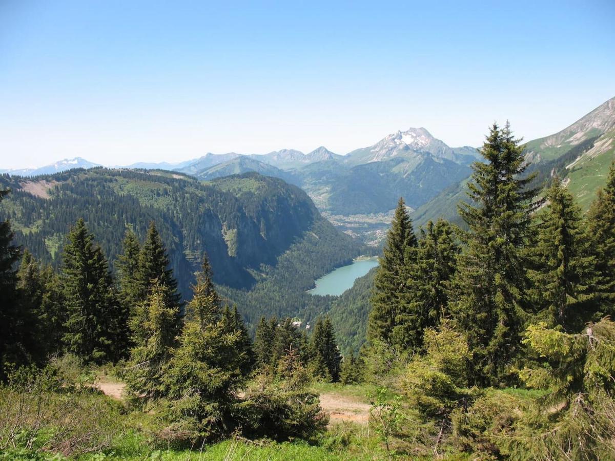 Le Petit Ramoneur * Châtel