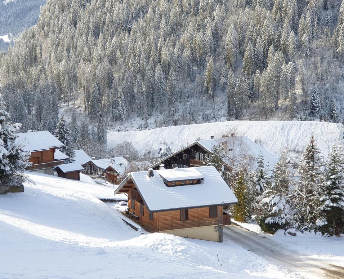 Chalet Le Petit Ramoneur