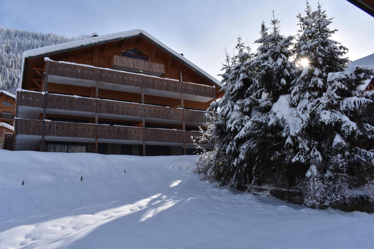 Chalet Le Petit Ramoneur *