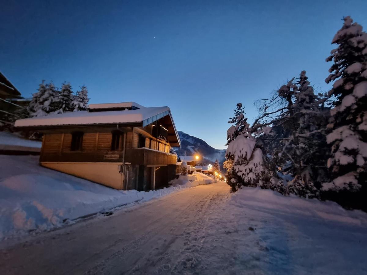 Chalet Le Petit Ramoneur Châtel